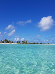 Wählen Sie Ihren Reiseagenten, der auf Tahiti und seine Inseln spezialisiert ist