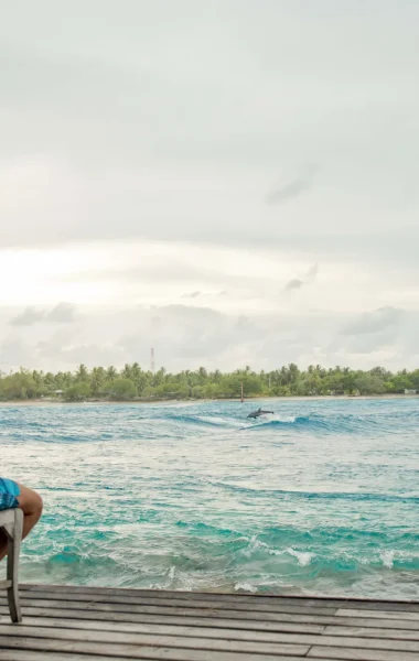 Observation de dauphin à Rangiroa © Hélène Havard