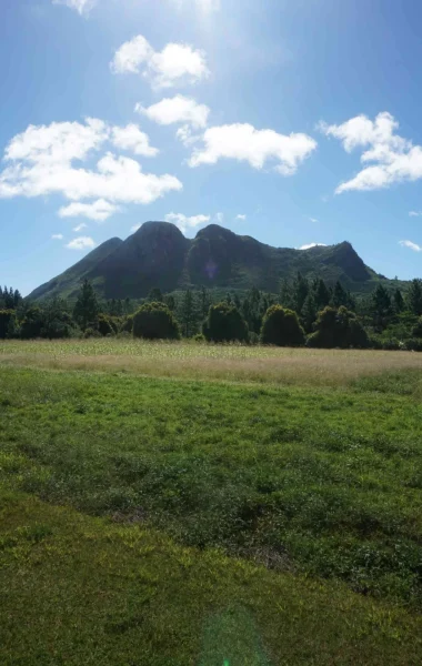 Mont Taitaa à Tubuai © Léa Parizot