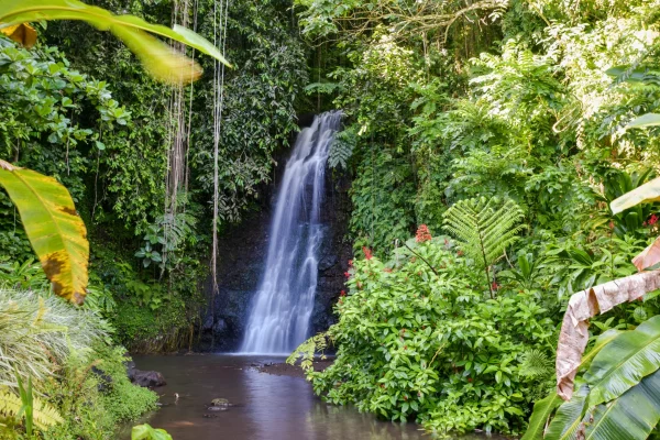 Jardin d'eau de Vaipahi © Stéphanie Mailion / Service du Tourisme