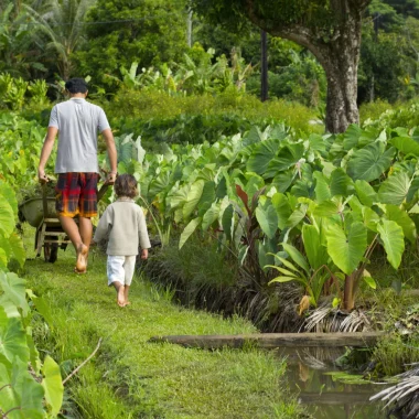 Die Rolle traditioneller tahitianischer Praktiken für einen nachhaltigen Lebensstil