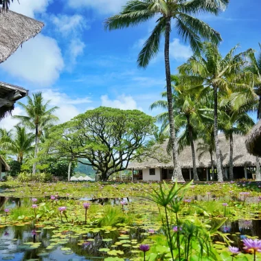 Bemühungen um die Erhaltung bedrohter Arten auf Tahiti Und Seinen Inseln