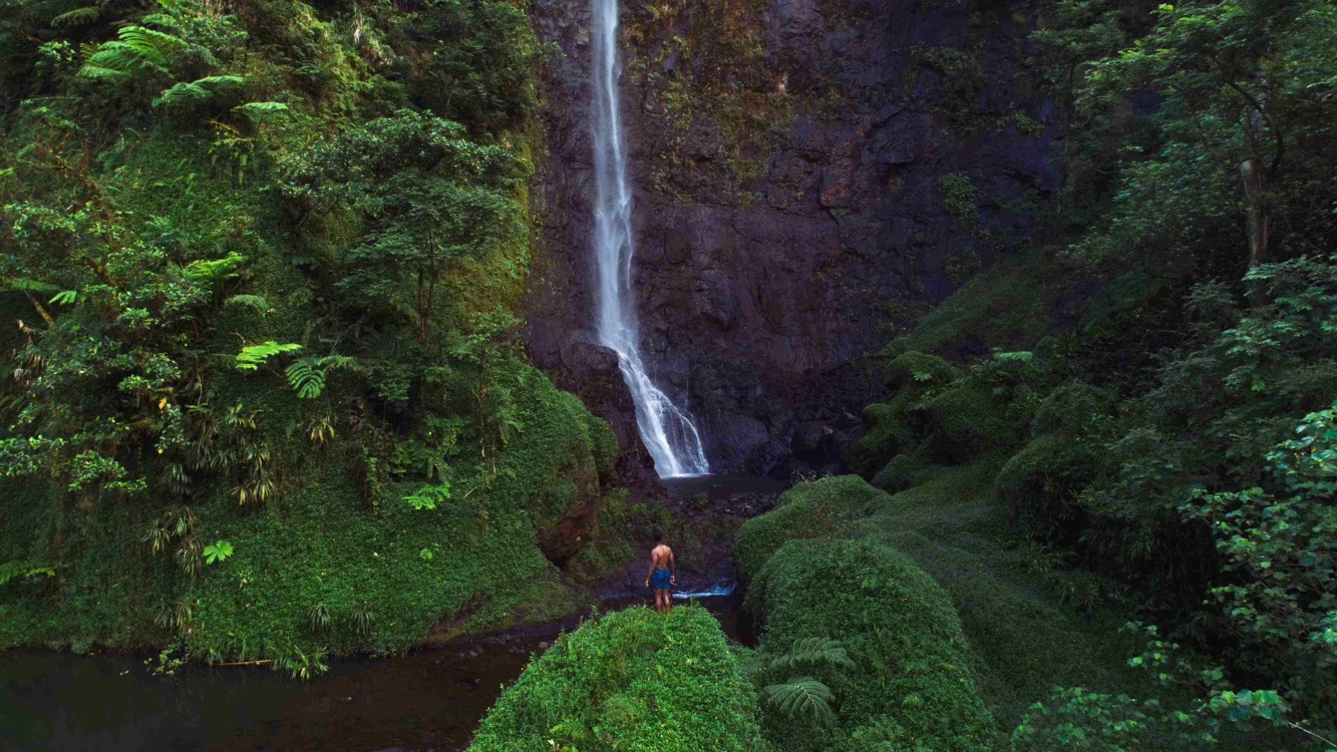 Cascade Puraha à Papenoo © Karl Shakur