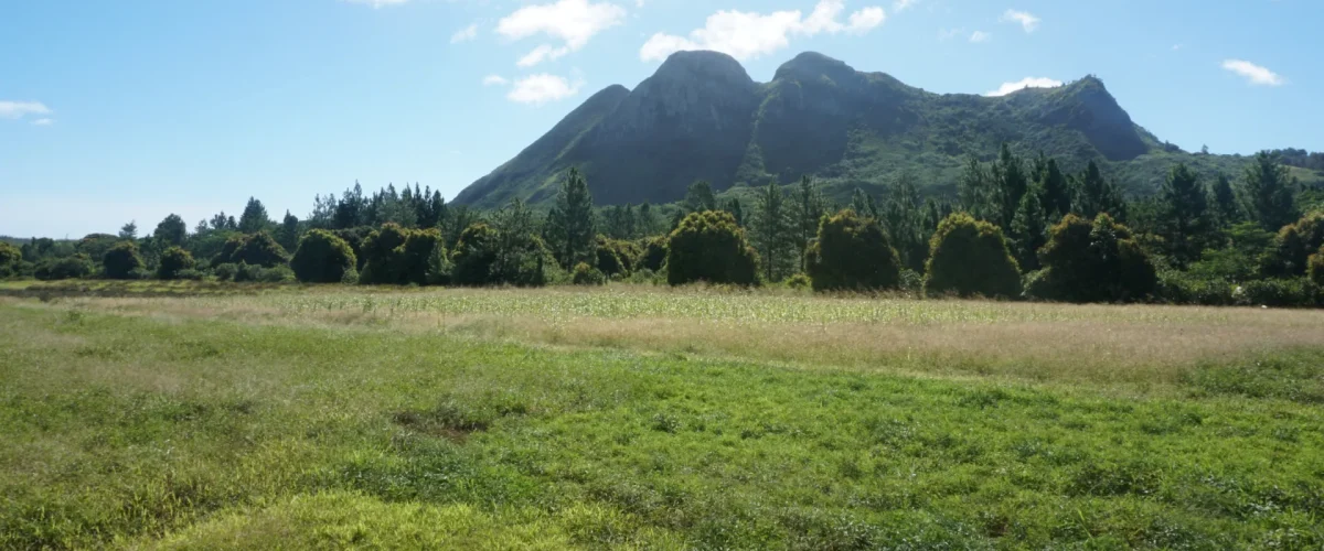 Mont Taitaa à Tubuai © Léa Parizot