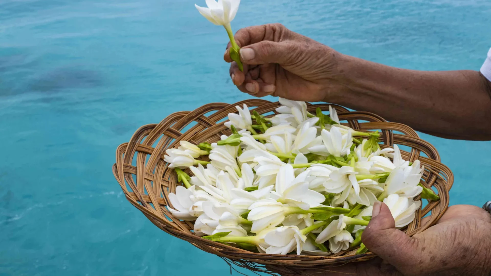 Corbeille de Tiare Tahiti © Holger Leue-