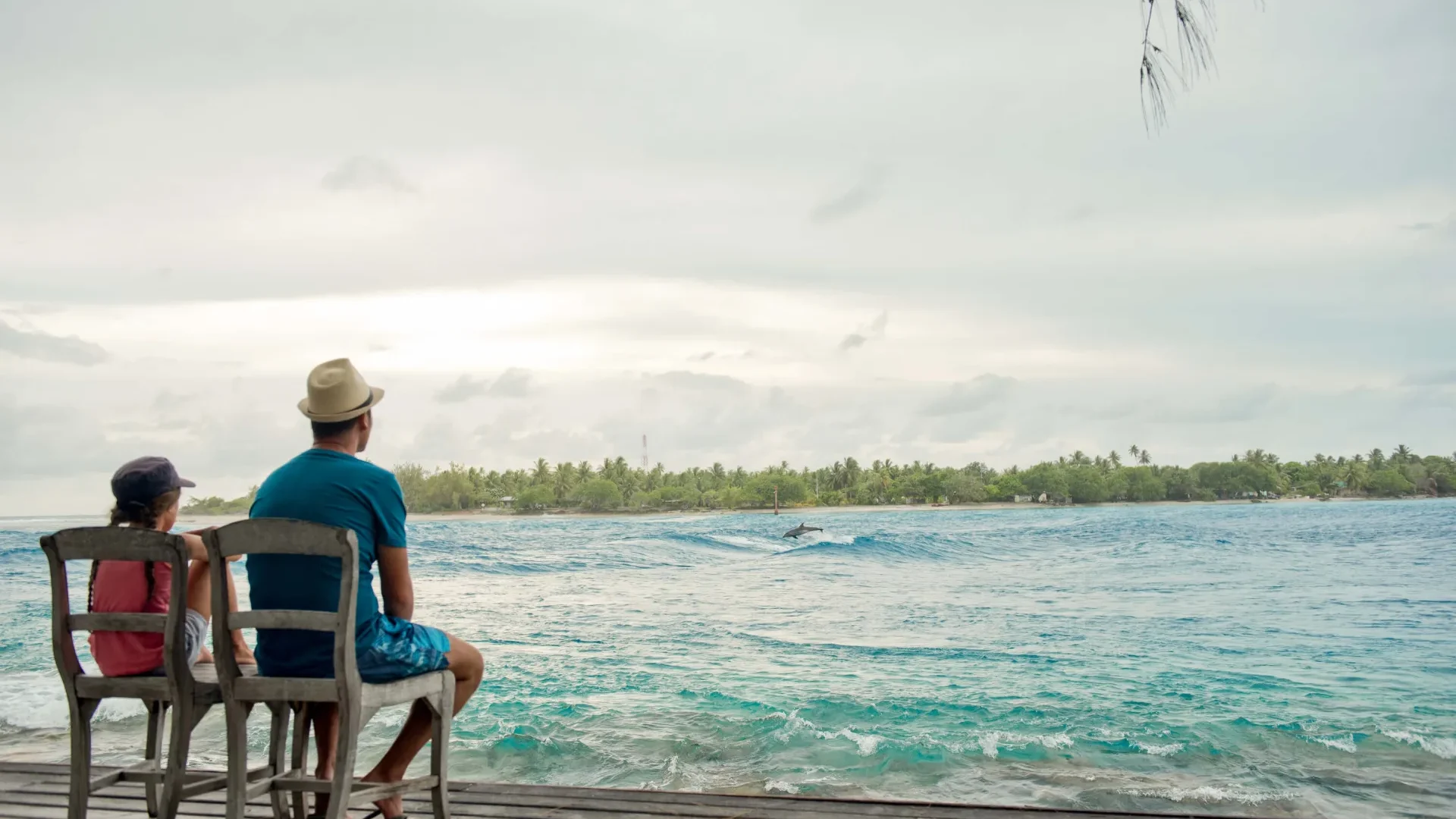 Observation de dauphin à Rangiroa © Hélène Havard