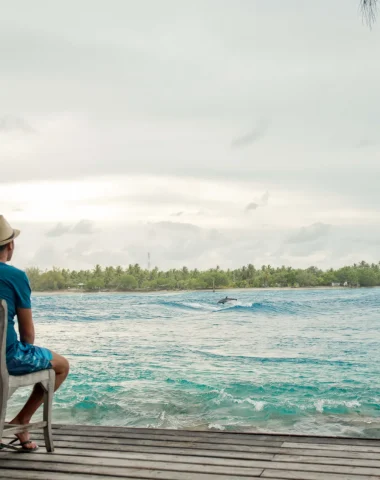 Observation de dauphin à Rangiroa © Hélène Havard