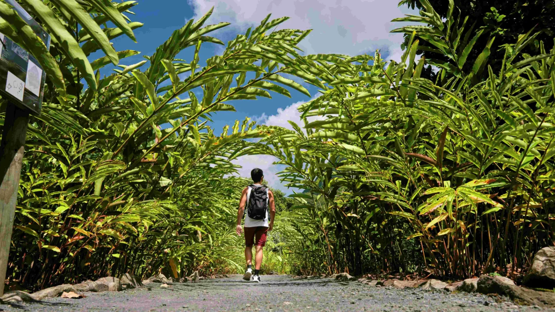 Découvrir Raiatea, l'île sacrée©_Alika Photography