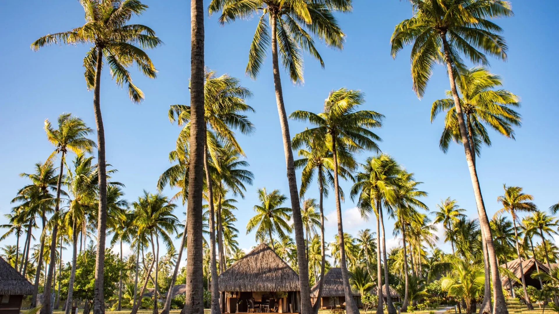 Hotel Kia Ora Rangiroa © Stéphane Mailion Photography