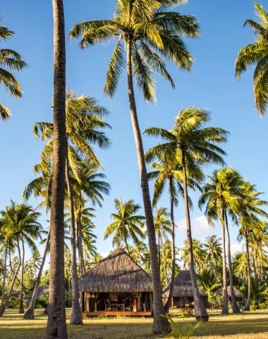 Hotel Kia Ora Rangiroa © Stéphane Mailion Photography