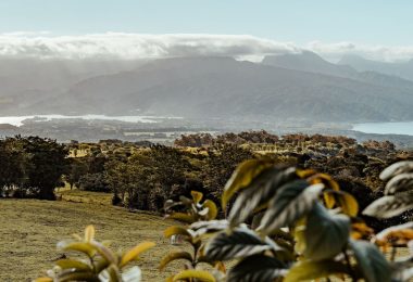 Südsee-Inselhüpfen: 12 Nächte Tahiti & Katamaran-Kreuzfahrt durch Französisch-Polynesien