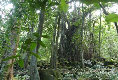 Kultur & Naturwunder der Marquesas-Inseln