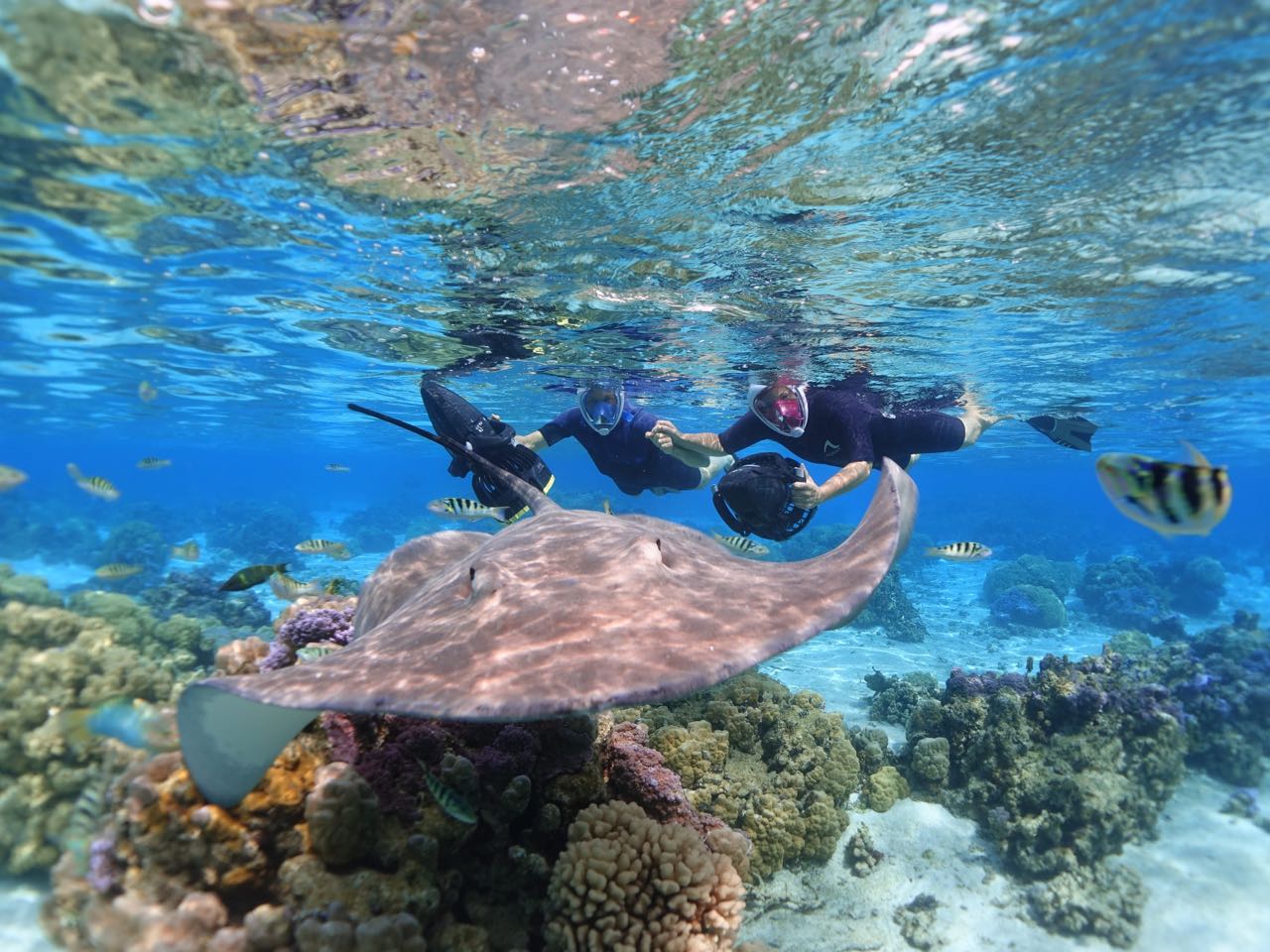 https://tahititourisme.de/wp-content/uploads/2020/09/Sea-Scooter-Snorkeling-Tour-à-moorea-copie-2.jpg