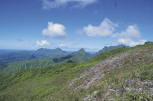Grüne, bergische Landschaft auf Raiatea