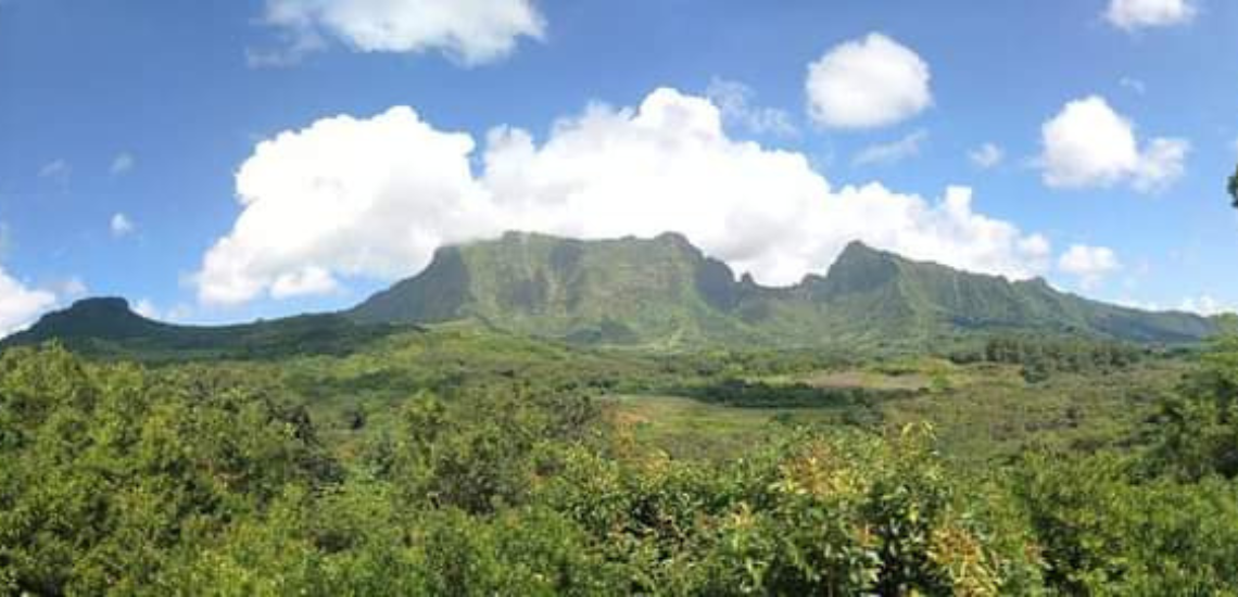 https://tahititourisme.de/wp-content/uploads/2023/02/SmileWithWilly_photocouverture_1140x550px.png
